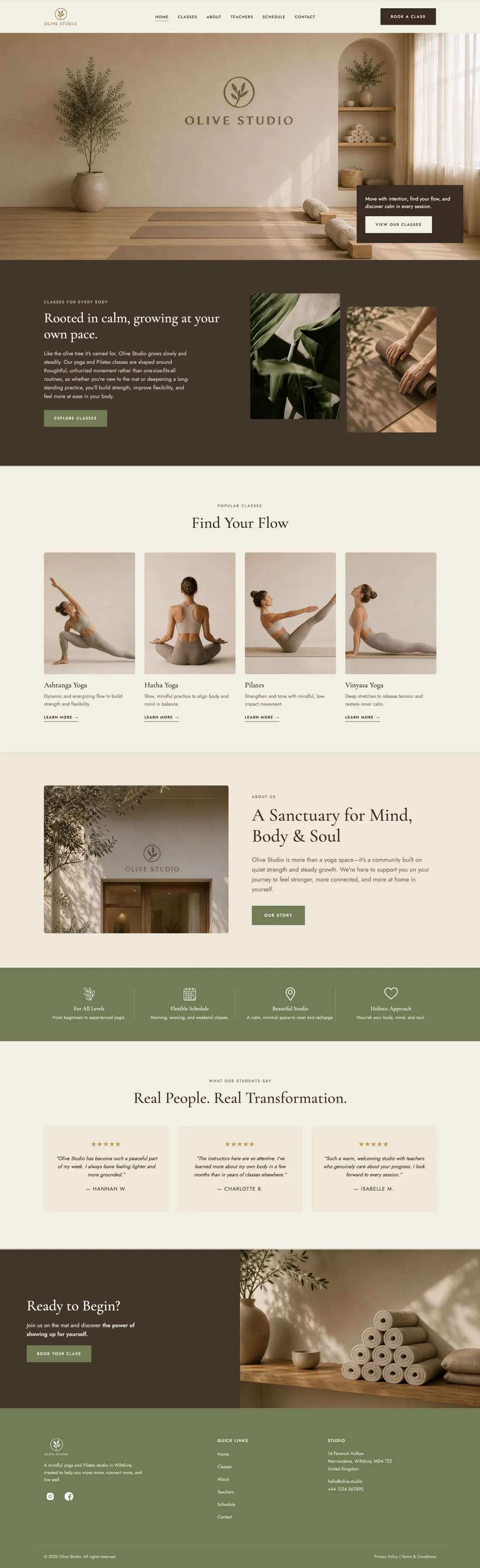 Olive full website preview
